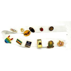 Lot of 12 Pins Various Styles Sold As A Lot